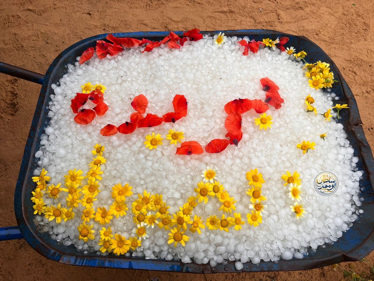 ALMISNID's tweet photo. بردية #بريدة قبل قليل 

وهذه سحابة المزن الركامي حيث تظهر كخلية رعدية شديدة.
والعصف الهابط منها تيار هوائي بارد مع ستارة مطرية وبردية كثيفة. https://t.co/QXFETKKIEC