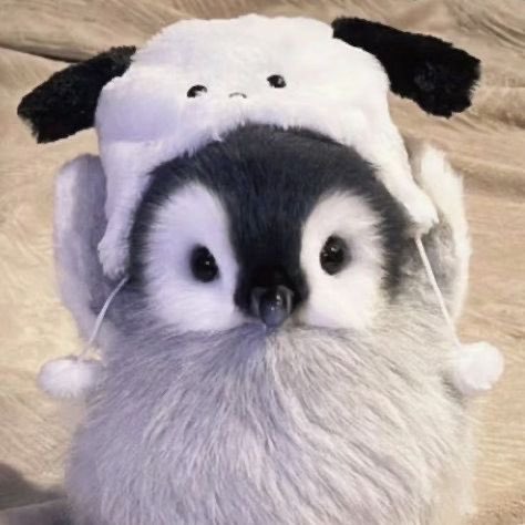 viv ⭑.ᐟ tweet media