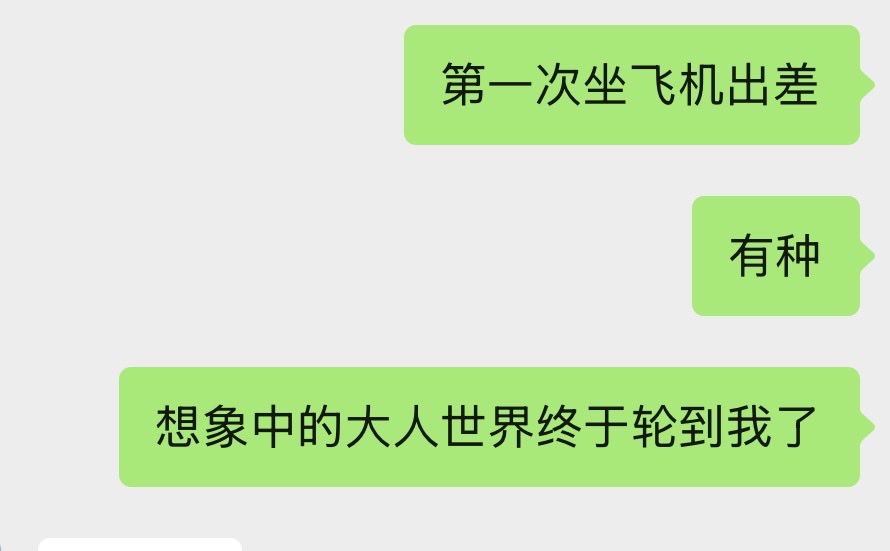 ✧†鼠鼠迷你赛博马桶†✧ tweet media