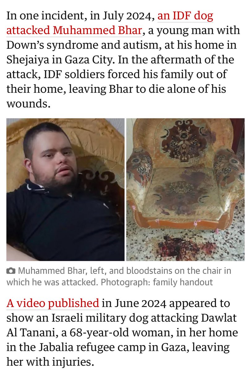 Kate Willett tweet media