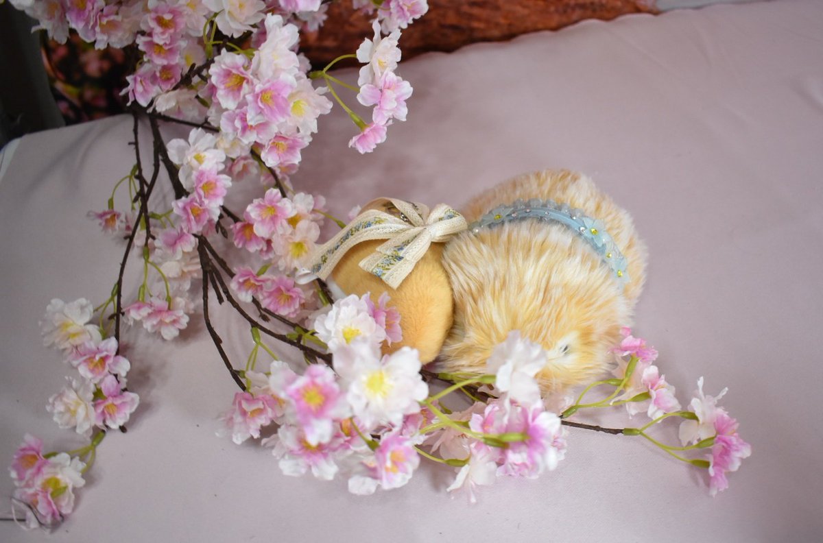 studio Edelstein(スタジオ エーデルシュタイン) tweet media