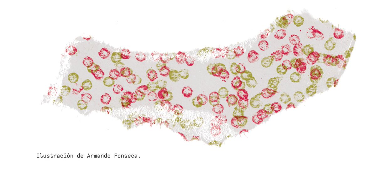 Revista de la Universidad tweet media