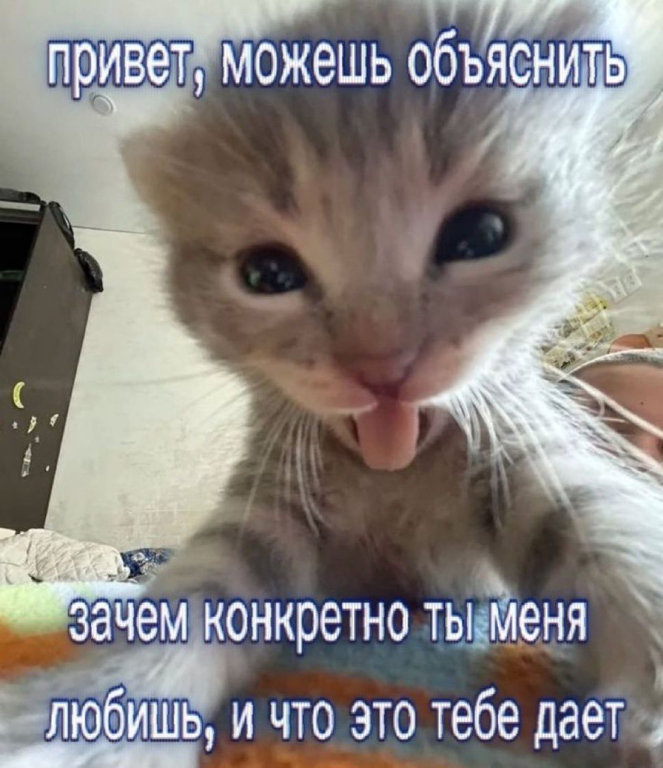 АОА «Альтернативно Одаренный Аноним» tweet media