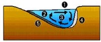 fisher_wayne's tweet photo. @CNviolations The underlying mechanism is secondary flow (circular around the axis of the main flow). nice illustration from https://t.co/JFjsHqXzqL https://t.co/skGlVoGb11