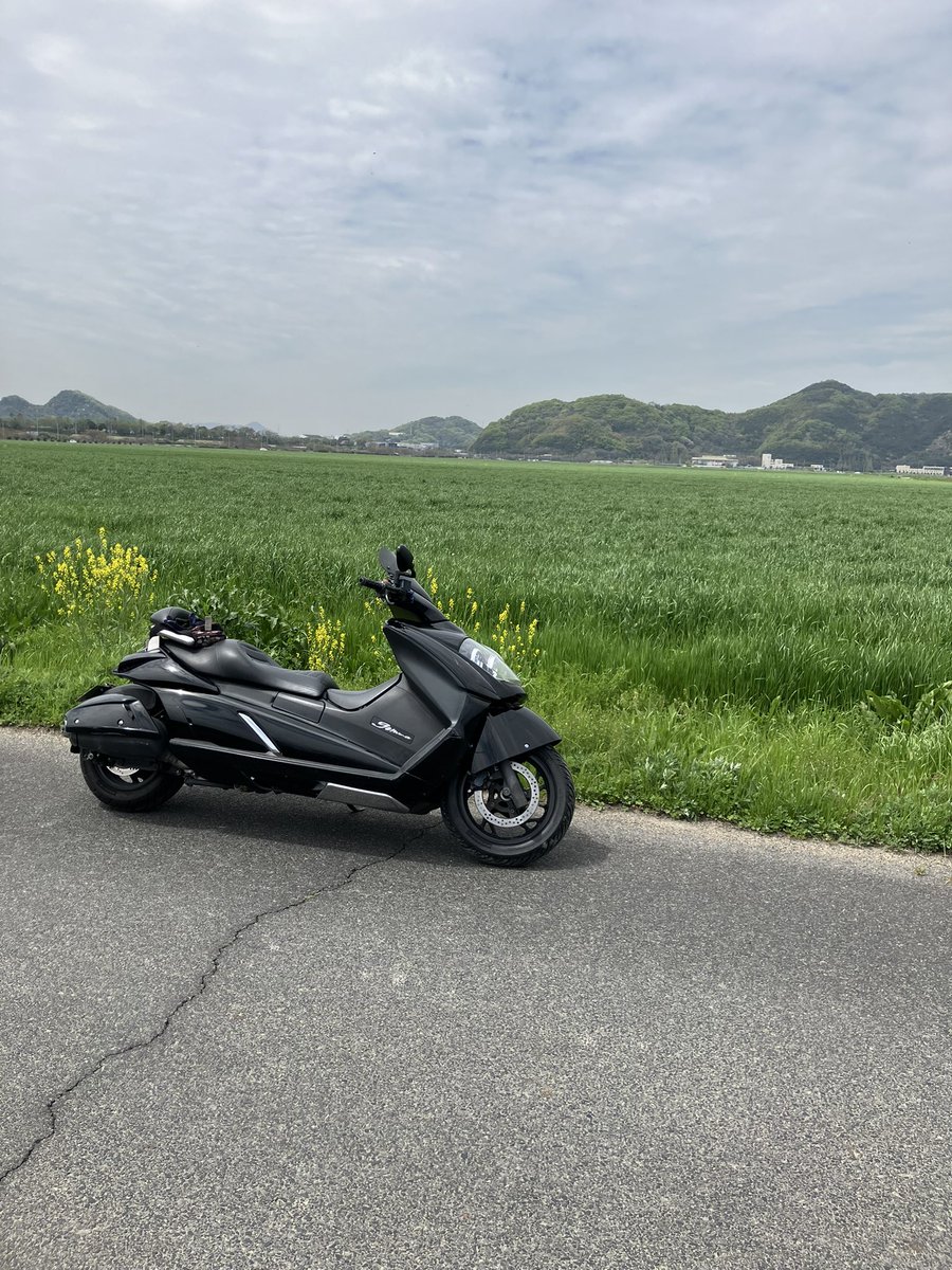 Post by 幸 on X: ジェンマ250