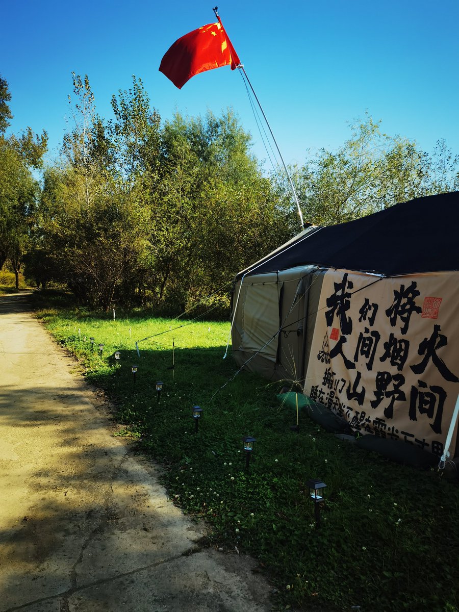 ledfred8's tweet image. Woke up to birds, not alarms. Campfire coffee + sun-kissed pine = pure magic.  #CampingVibes #NatureFix