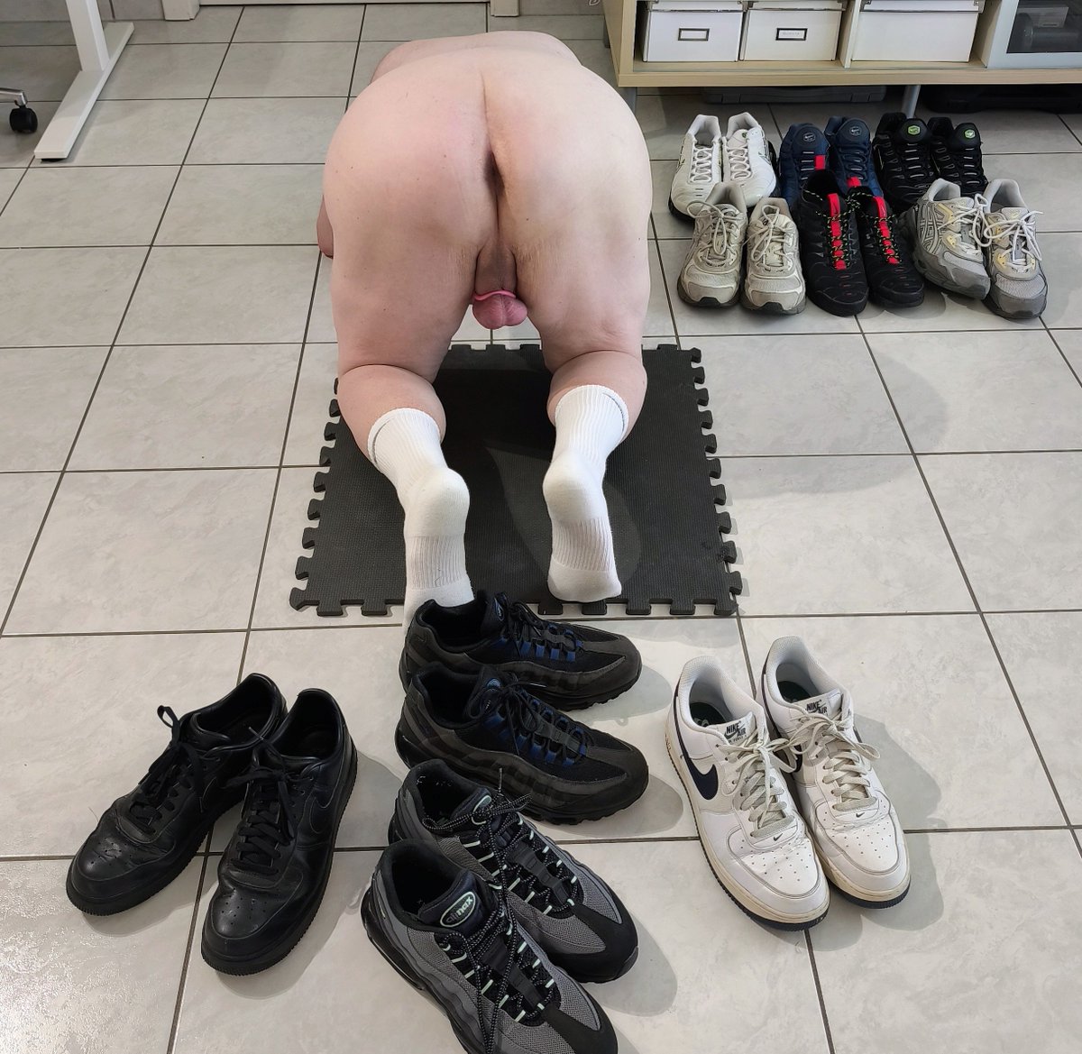 Thomas Meyer tweet media