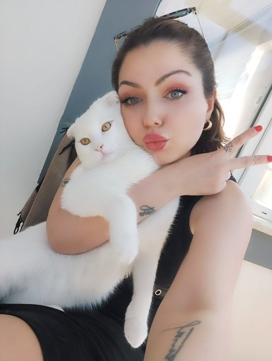 Vildan Yll tweet media