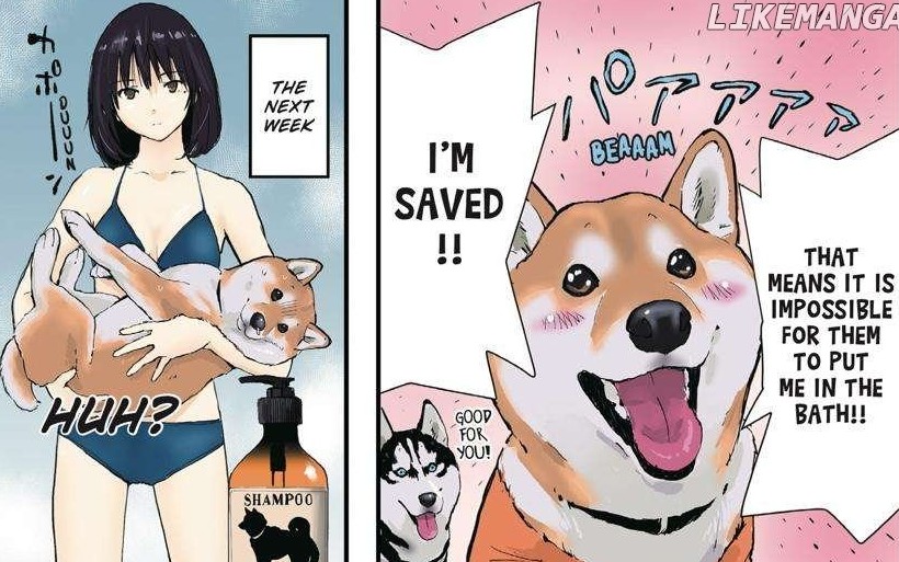 Evildeadfan102's tweet image. I read Doomsday With My Dog Chapter 36.  
I started Volume 4.
#Doomsdaywithmydog #chapter36 #manga