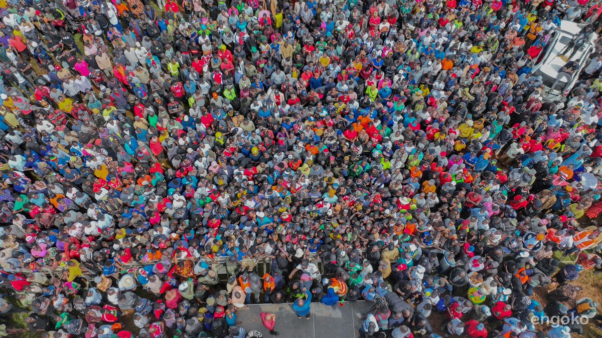 Wilson tweet media