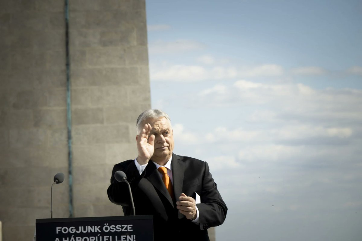 Viktória Serdült tweet media