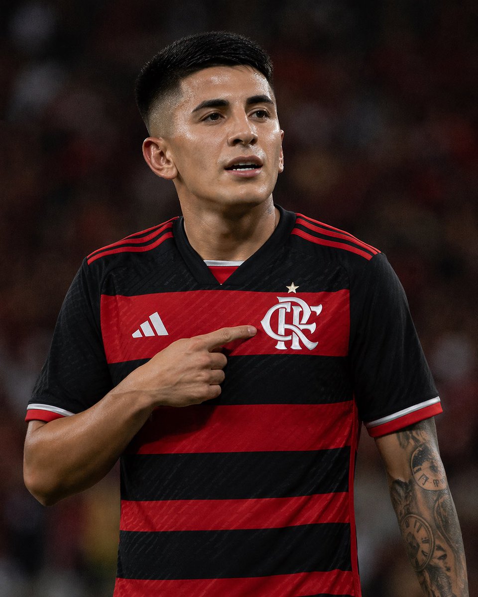 Miranha da Gávea tweet media