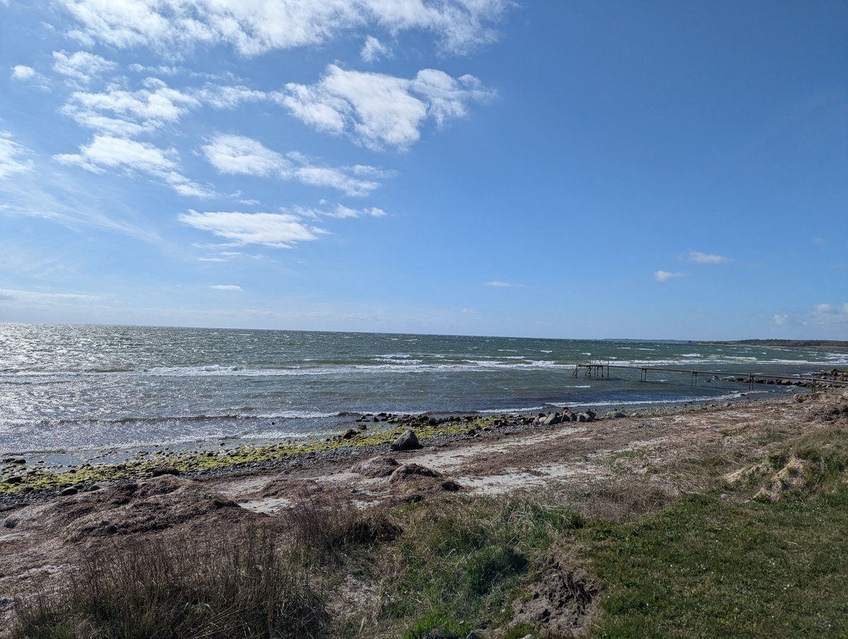 Lasse S. tweet media