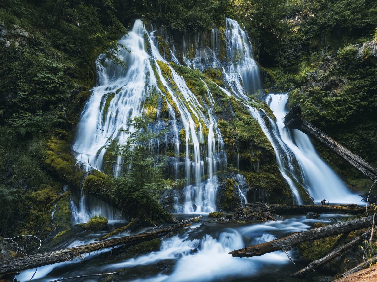 vicphotos's tweet image. Panther #Creek #Falls spills across moss-covered tiers in a stunning #cascade of movement and texture. Water weaves through vibrant greens, fallen logs, and layered rock—an iconic #Pacific #Northwest masterpiece.
#Trending #Viral #Explore #DailyPost #Inspiration #GrowOnX