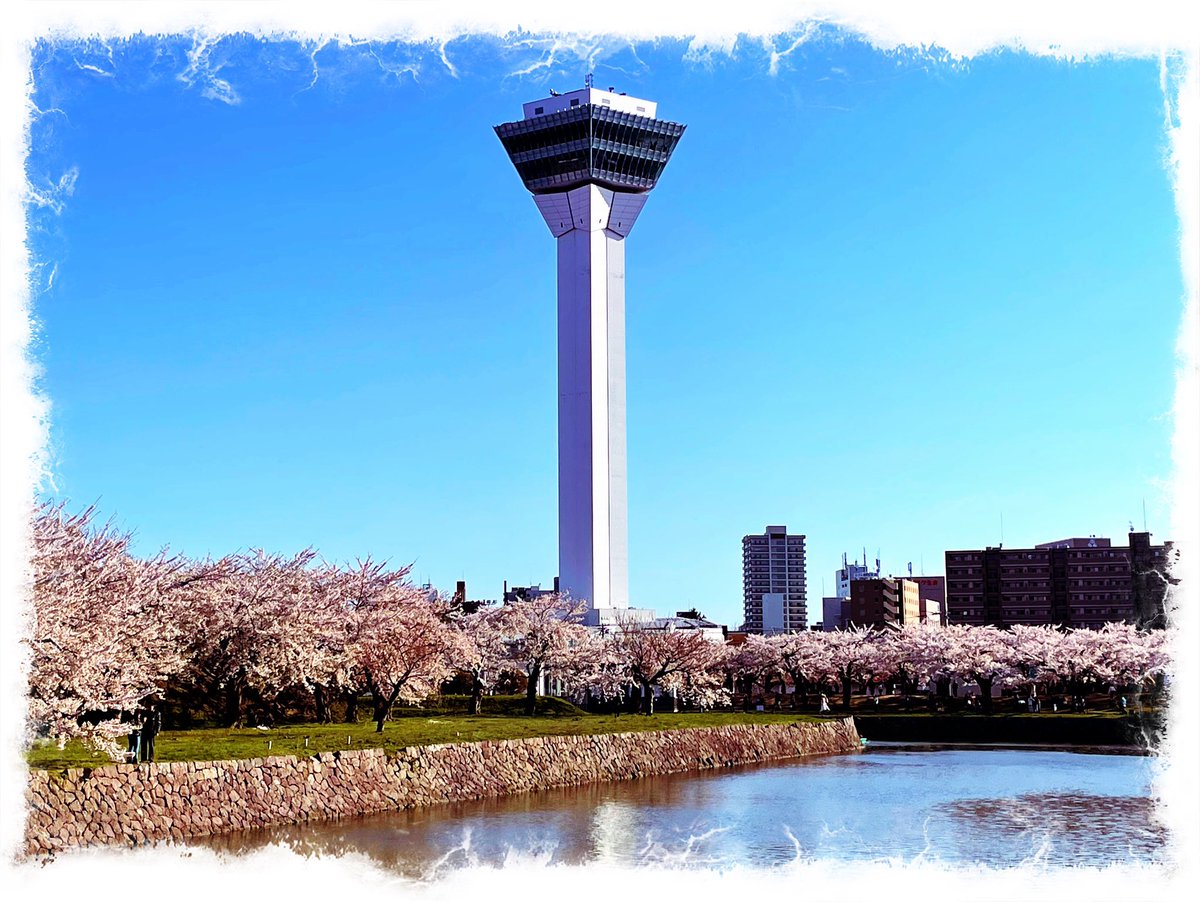 TIMETRICKSTAR's tweet photo. 本日の函館五稜郭公園 https://t.co/zWENcbF2vv