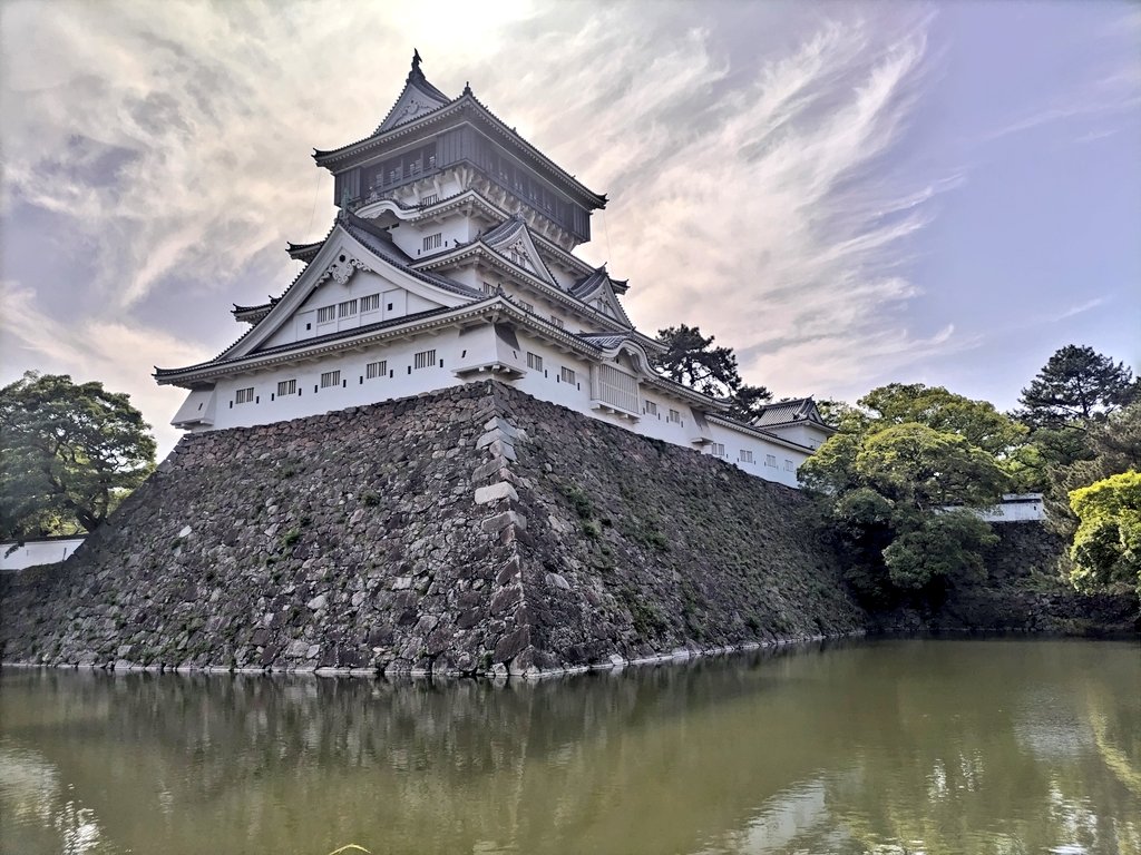 海辺のMacco tweet media