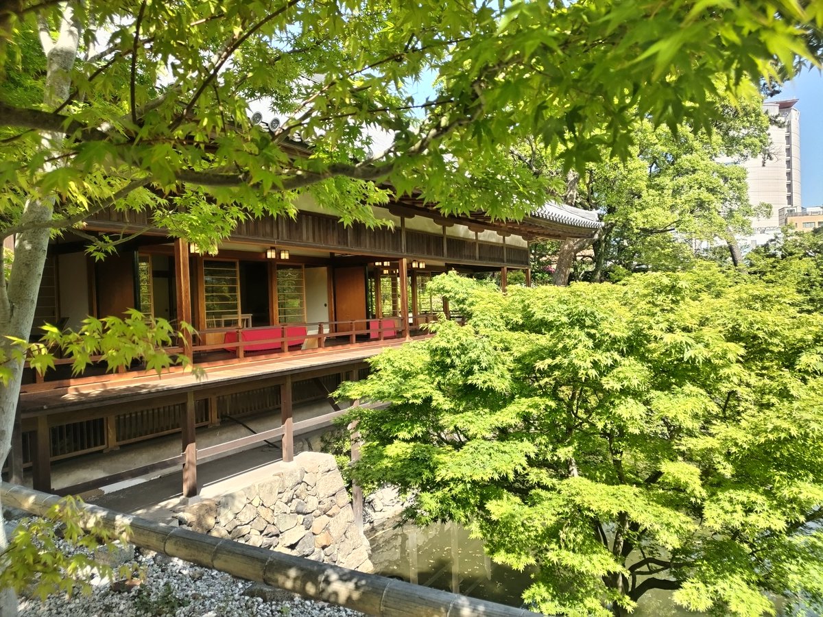 海辺のMacco tweet media