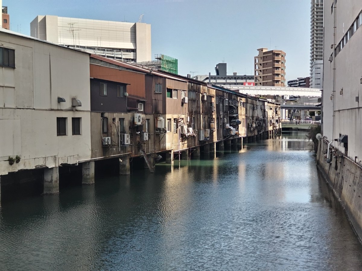 海辺のMacco tweet media