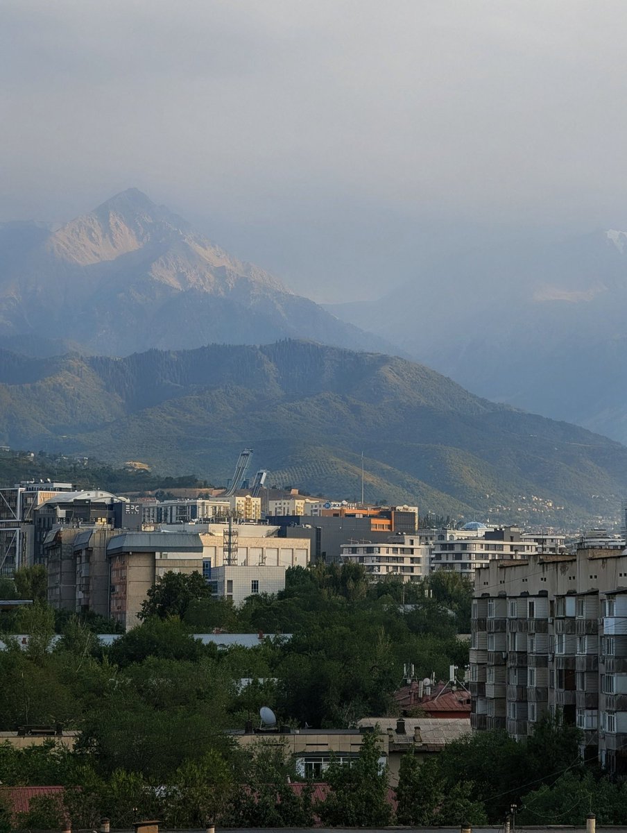 GOLDEN RETWEETER🦮 tweet media