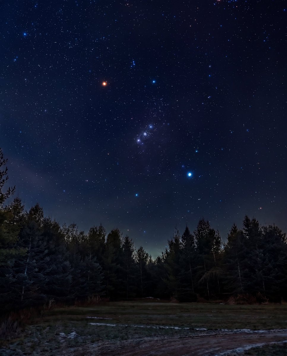 Curiosity tweet media