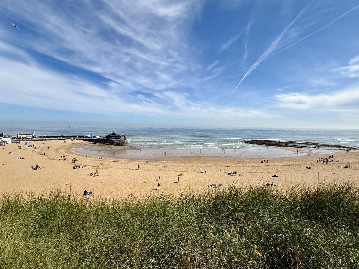 bendmar85's tweet photo. Beach walks with the canine child and family #miniatureschnauzer #schnauzer #broadstairs https://t.co/toV4uhCzYf