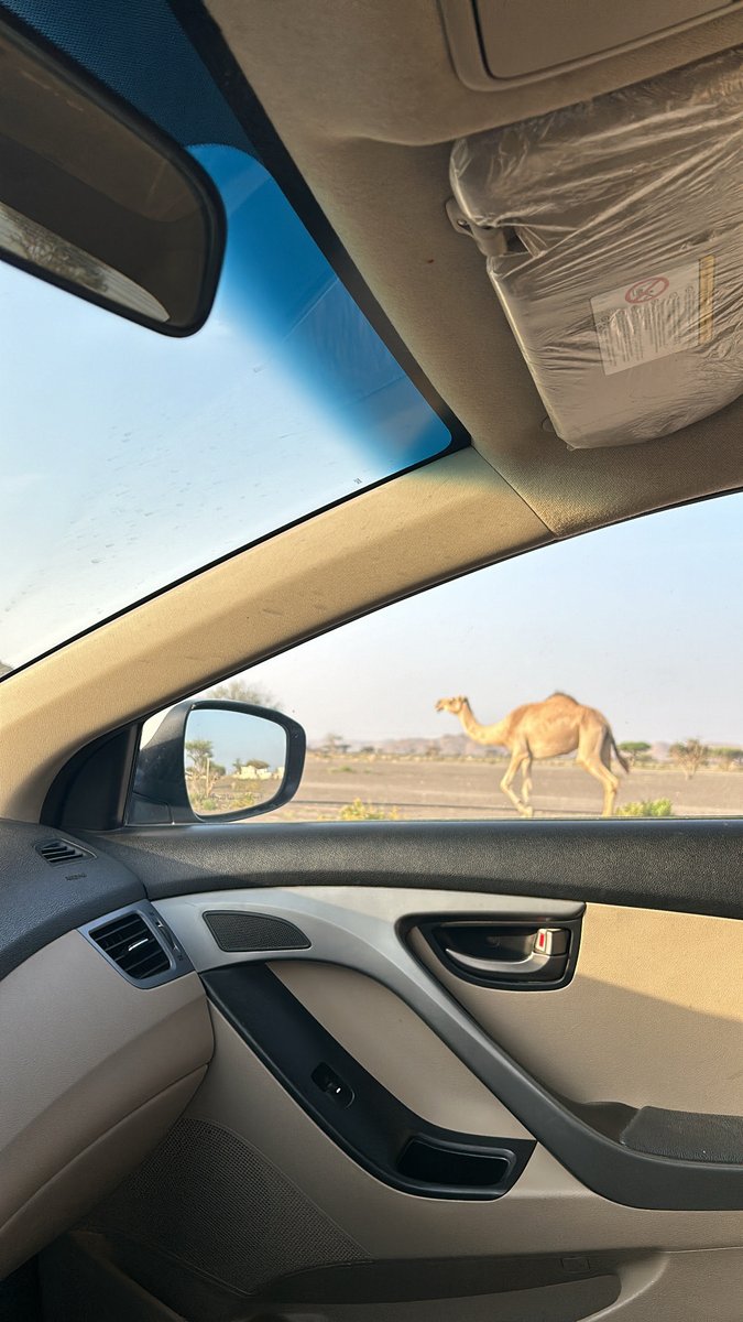S___570's tweet photo. عشوائيات الأسبوع 7️⃣
. https://t.co/XsncrSOZEb