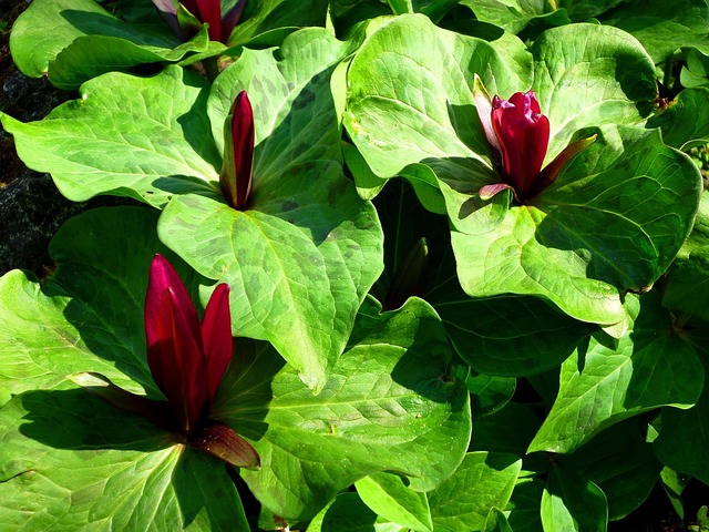 Sherry Piper tweet media