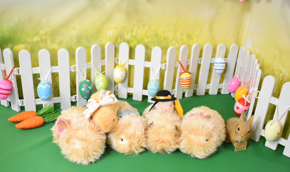 studio Edelstein(スタジオ エーデルシュタイン) tweet media