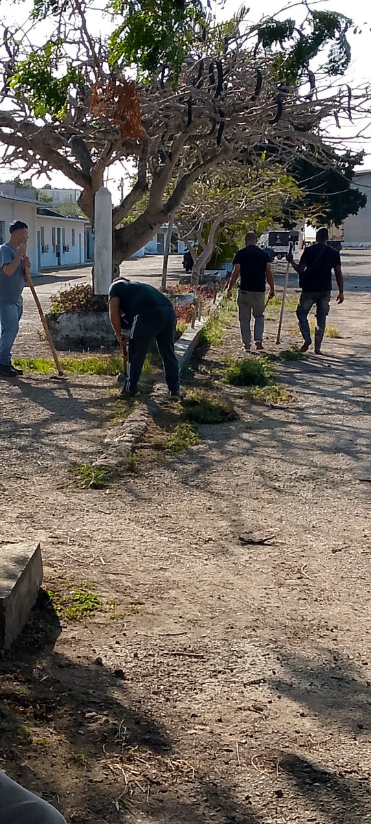MatanzasUni's tweet image. En saludo al 1ro de mayo, los trabajadores de Universal Matanzas cambiaron sus tareas habituales por limpieza, pintura y cuidado de sus áreas. Un acto de pertenencia y compromiso. Así honran el Día del Trabajador: con hechos, unidad y amor.  #1roDeMayo  #JuntoCreamos