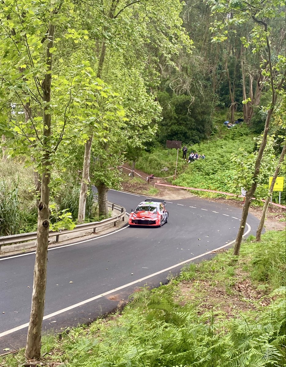 YolyCouto's tweet photo. SS10 - Rally Islas Canarias 2026
@ElfynEvans 🏴󠁧󠁢󠁷󠁬󠁳󠁿 https://t.co/9p1QDLPFyR