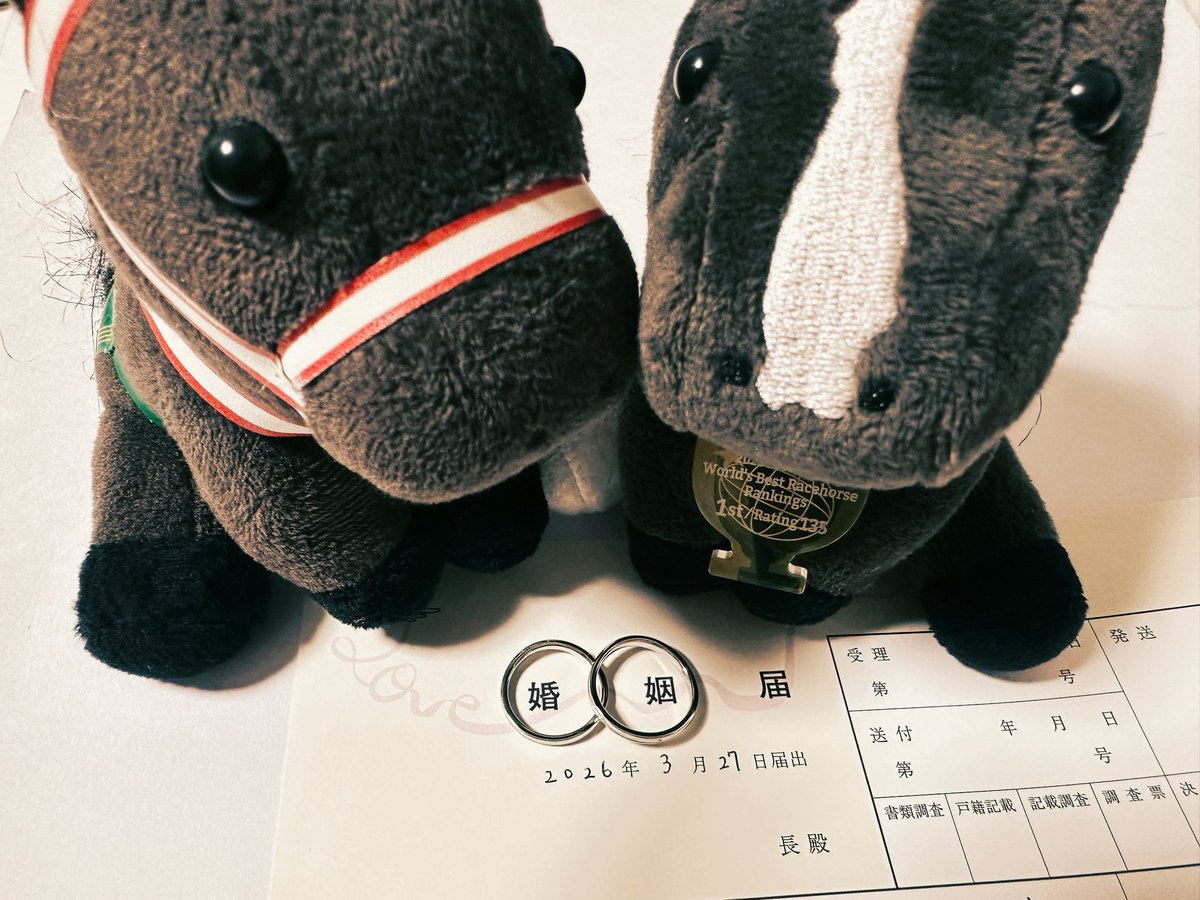 ぴこぴこ tweet media