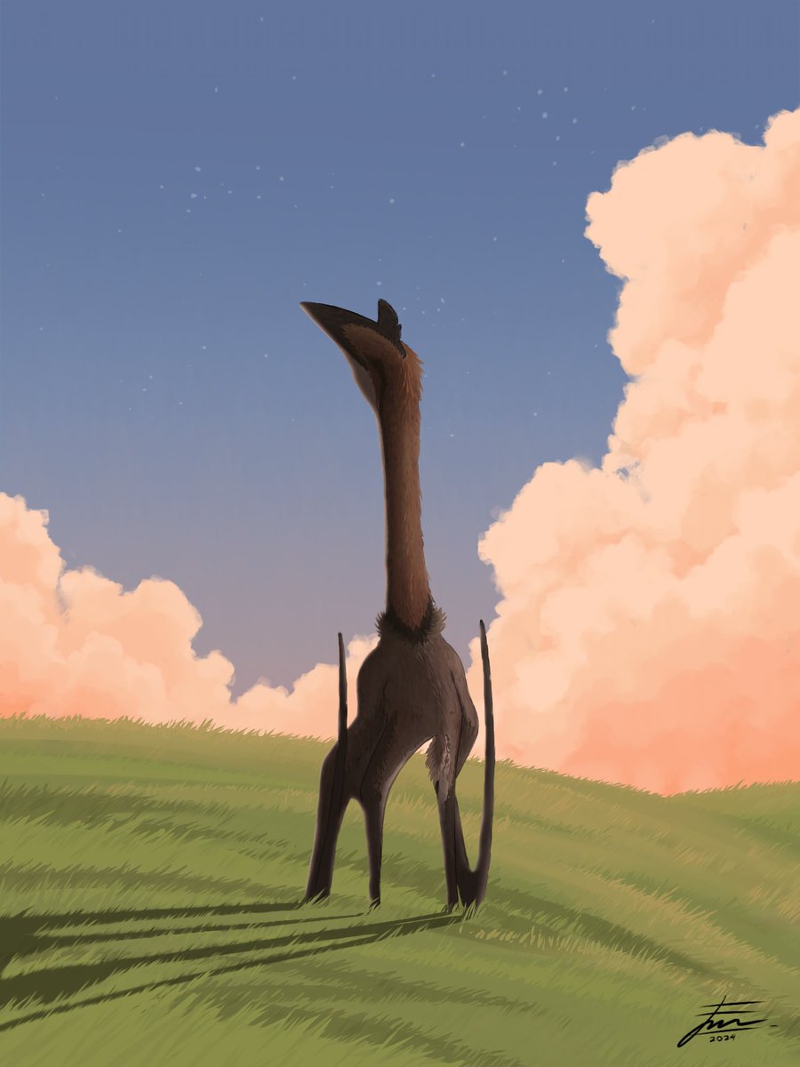 Fachri Prastyanto tweet media