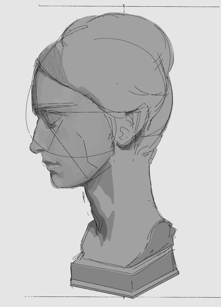 Degurktricht's tweet photo. 오늘도 공부를 위해 석고상을 그리고 있어요✍🏻💦
#그림 #study https://t.co/ffhte13l1J
