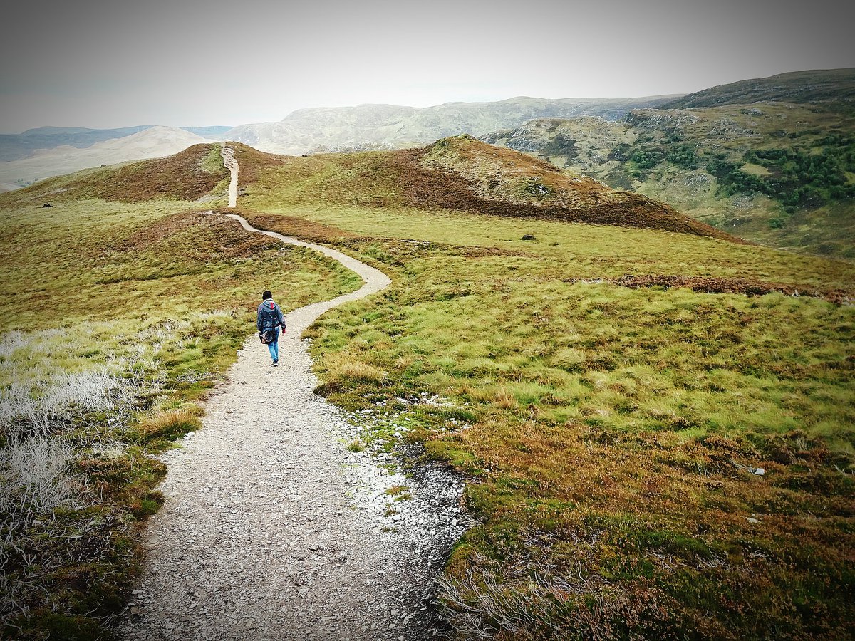 Austin Hackworth tweet media