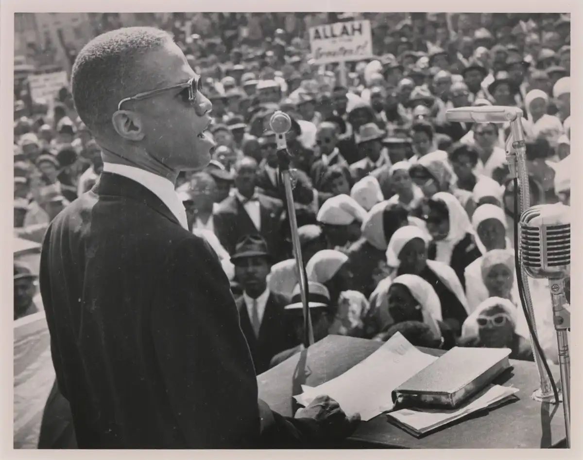 Dr. Allison Wiltz tweet media