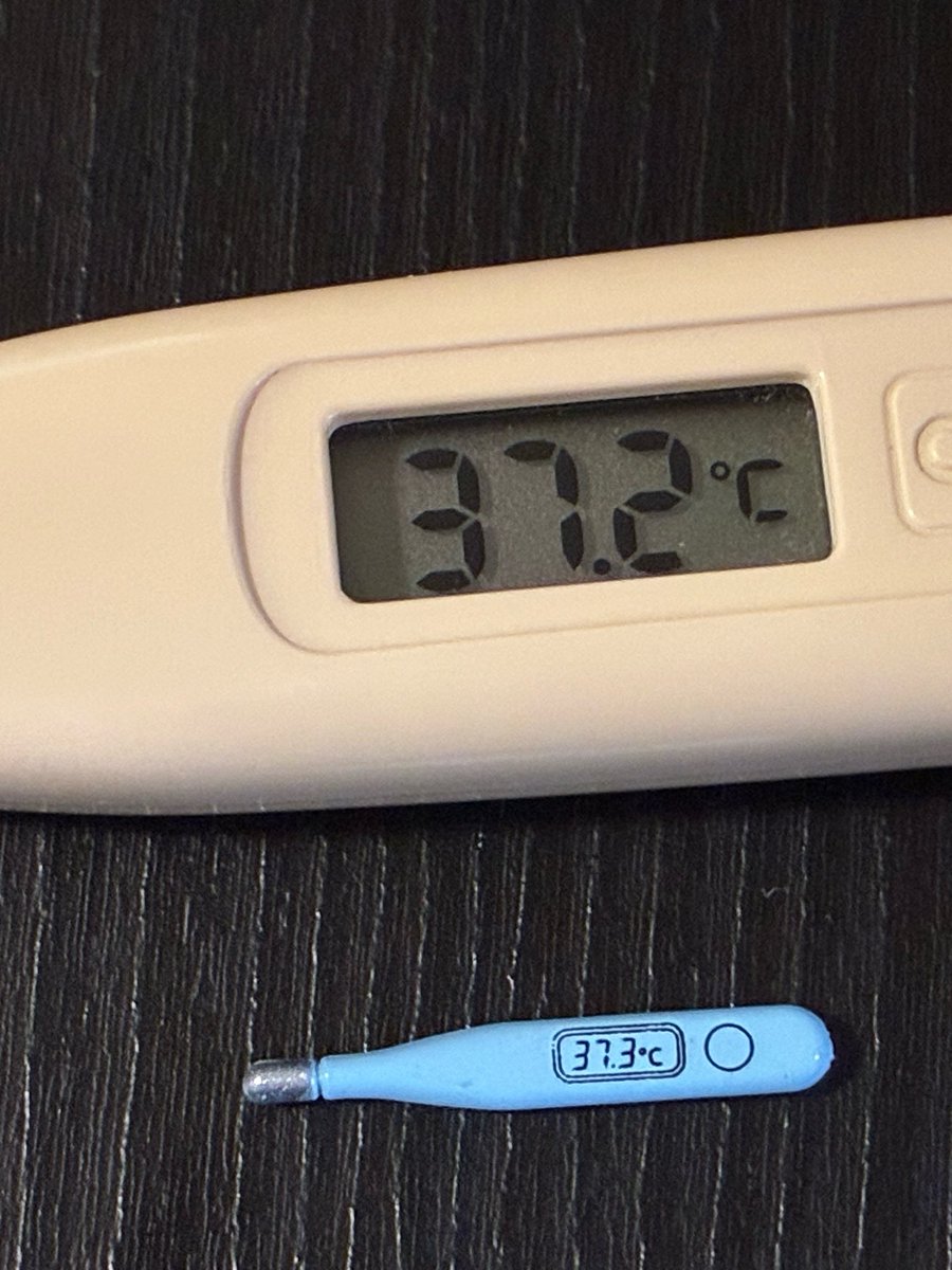 ひろみん( ຶ- ຶ )っ🍄‍🟫 tweet media