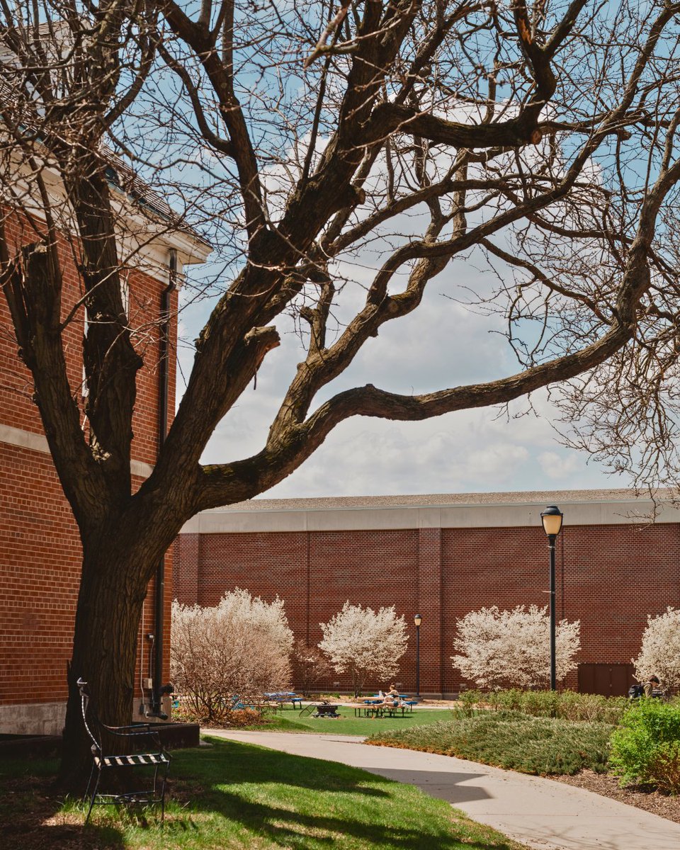 Beloit_College's tweet photo. With finals approaching, consider this your official reminder to touch grass between study sessions. 🌿📚 https://t.co/nKY2Al82x4