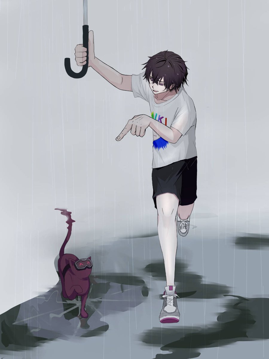 ねこい tweet media