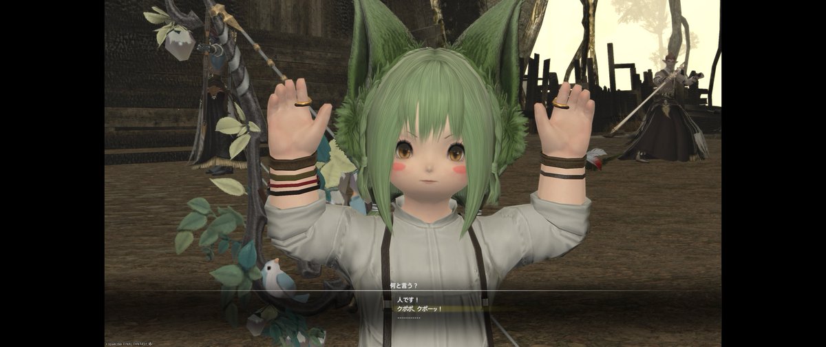 mado🌒Theo🐈‍⬛ tweet media