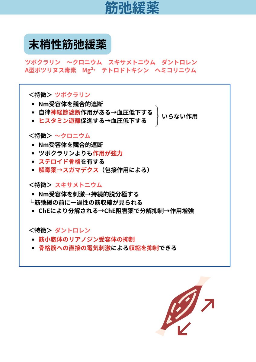 薬学サポーター とも tweet media
