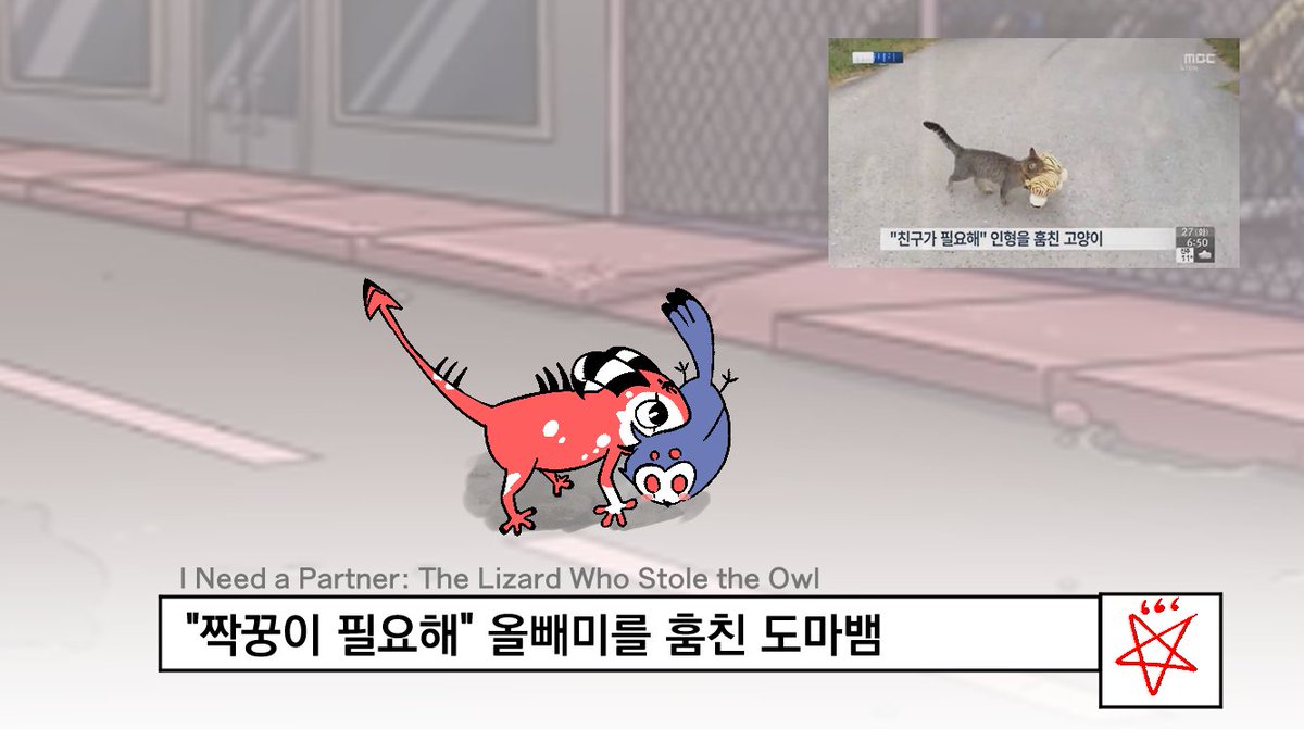 필규ピ tweet media
