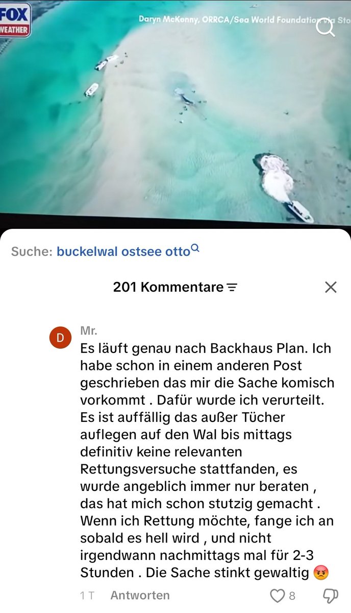 KontrollgruppeX's tweet image. #Bsckhaus #Timmy #Hope
Jeder vernünftige Mensch greift sich auf den Kopf