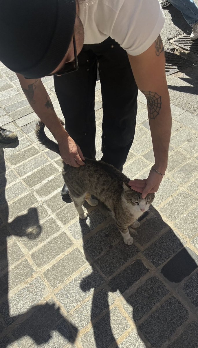 the nbhd files® tweet media