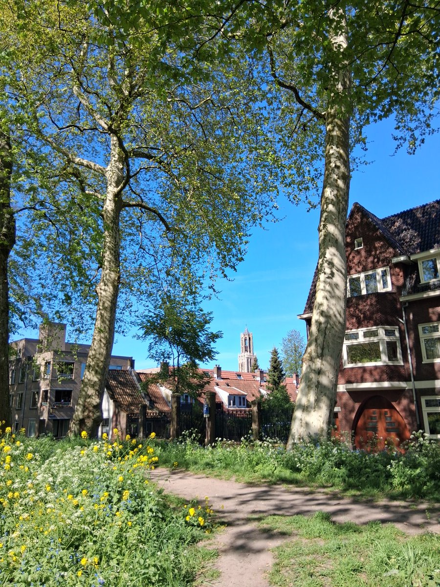 JokeMaria2's tweet photo. #Utrecht
#DomTower
#Springtime https://t.co/XFVHG455zL