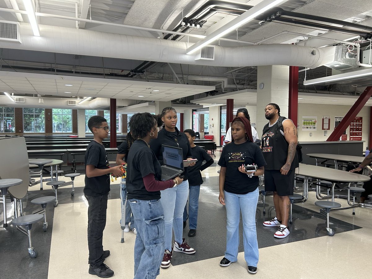 DCSDSTEM tweet media
