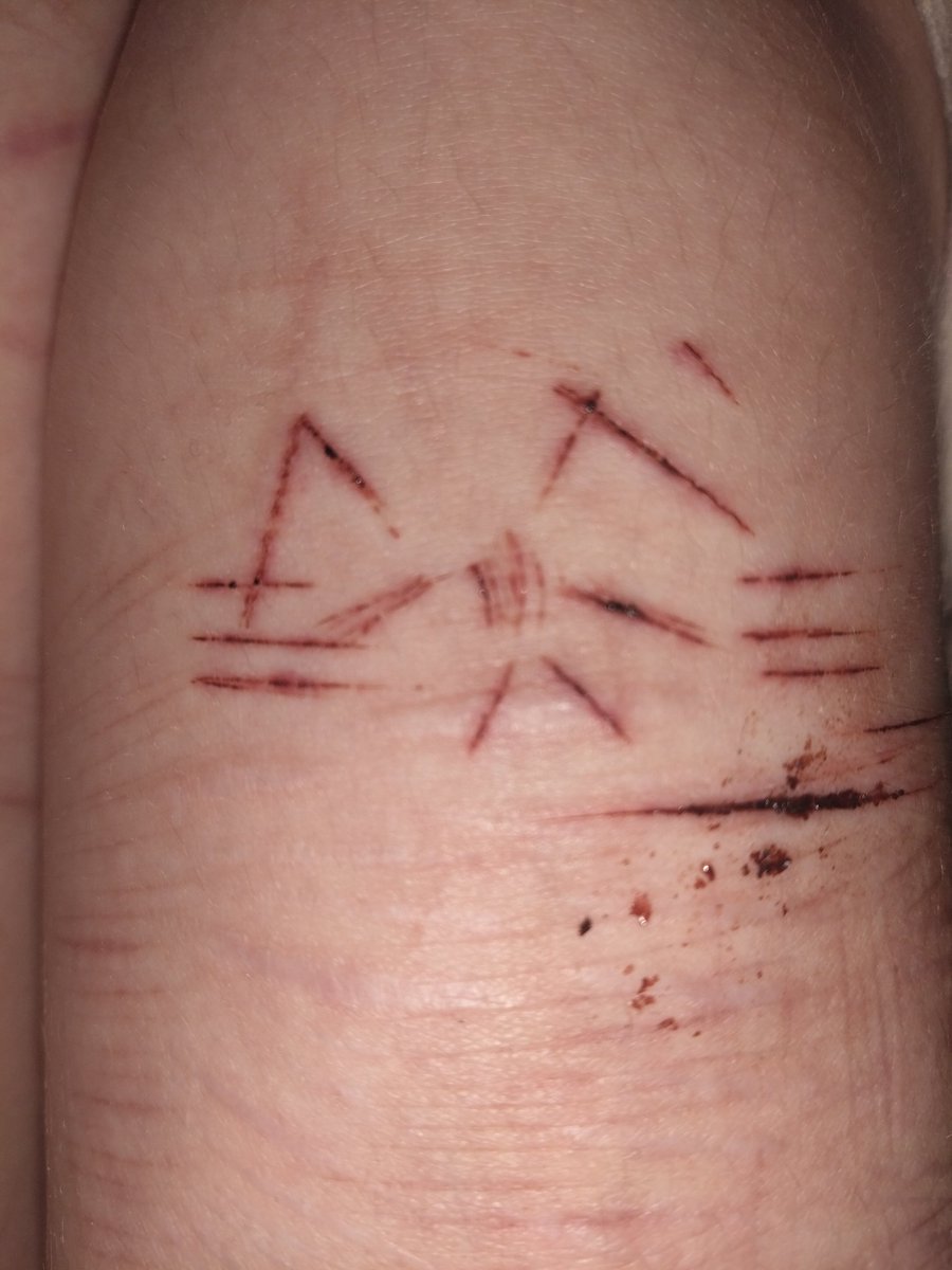 ~\\+badware of shedtwt+//~ tweet media