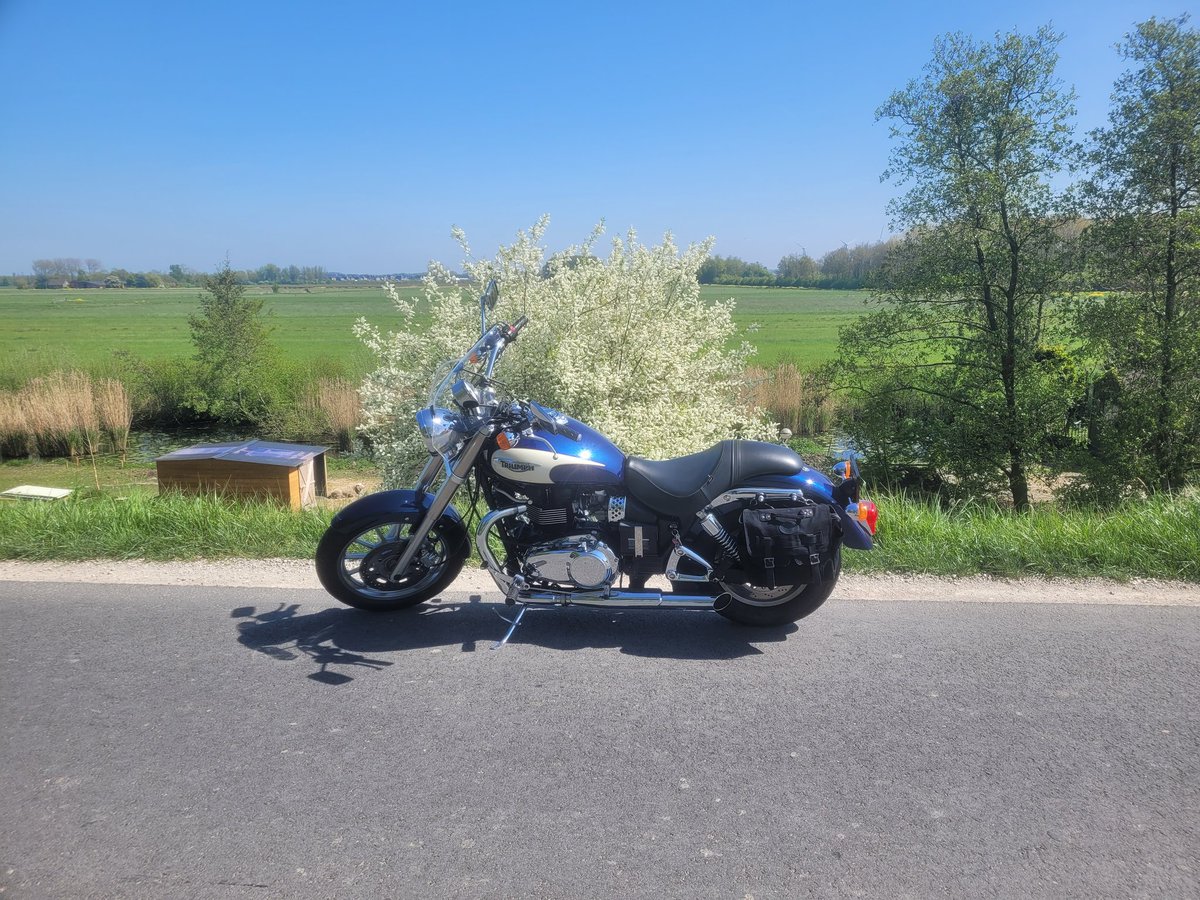 🌱LoezzB 🐾 tweet media