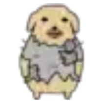 𝓧𝓲𝔁𝓲 tweet media