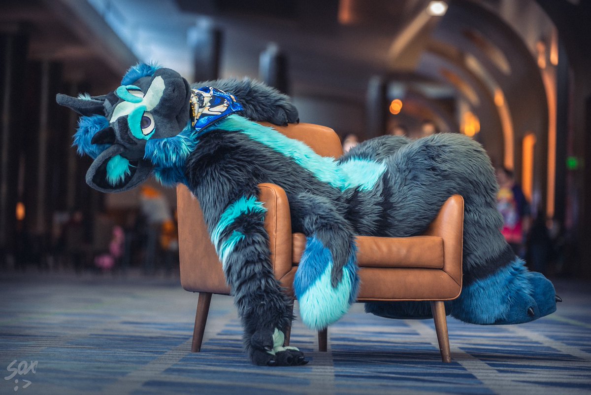 Demi 🔜 FWA tweet media