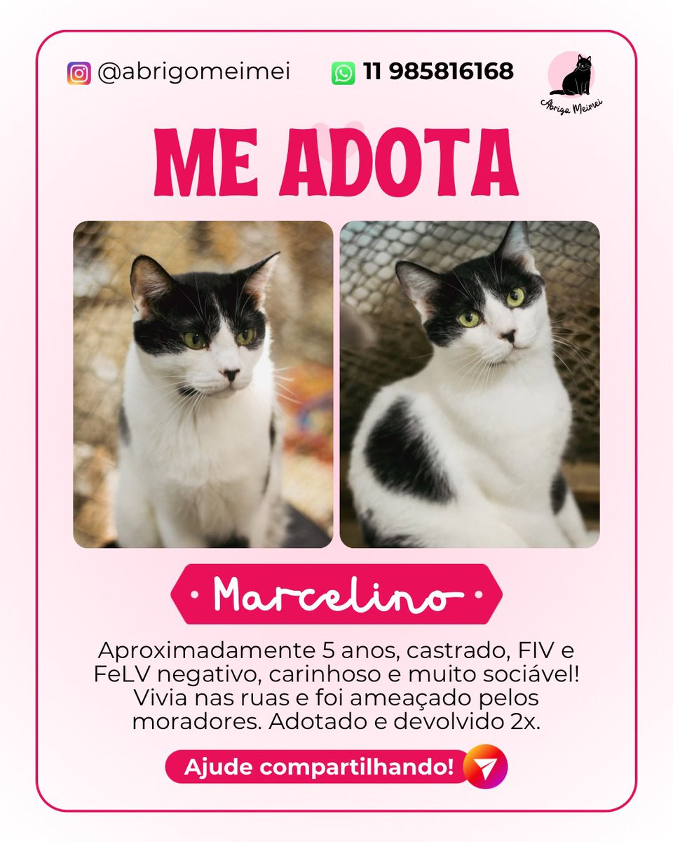 Abrigo Meimei tweet media